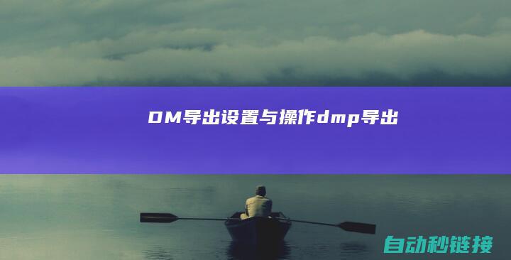 DM导出设置与操作 (dmp导出)